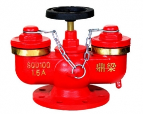 Multi - purpose fire pump adapter