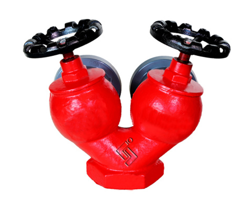Double valve double outlet indoor fire hydrant.jpg